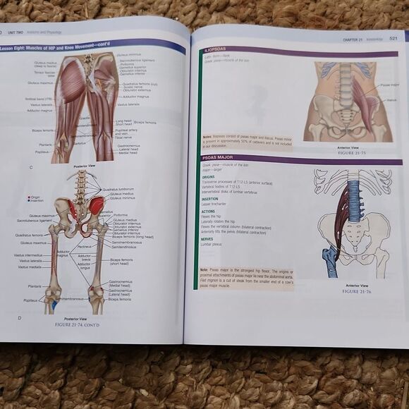 Massage Therapy Book Susan Salvo - Picture 8 of 9